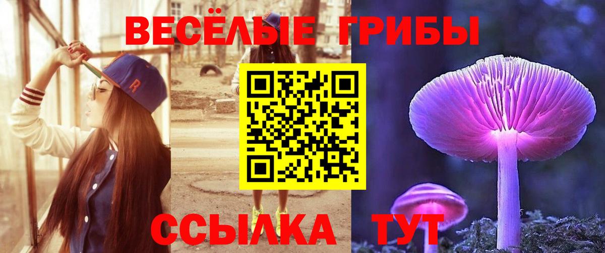 Карачаевск  Псилоцибиновые грибы мухоморы  Вход с VPN 